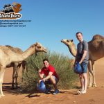 tour package abu dhabi, quad bike atv dune buggy safari tour rental abu dhabi